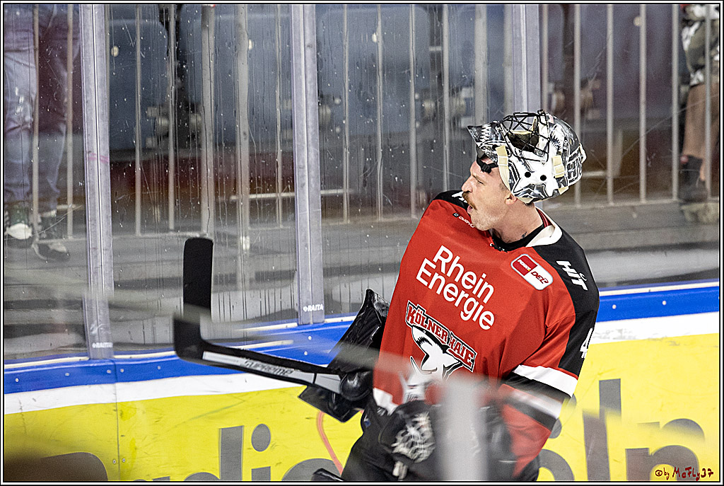 PENNY DEL;  Koelner Haie - Grizzlys Wolfsburg; Koeln, 10.09.2021